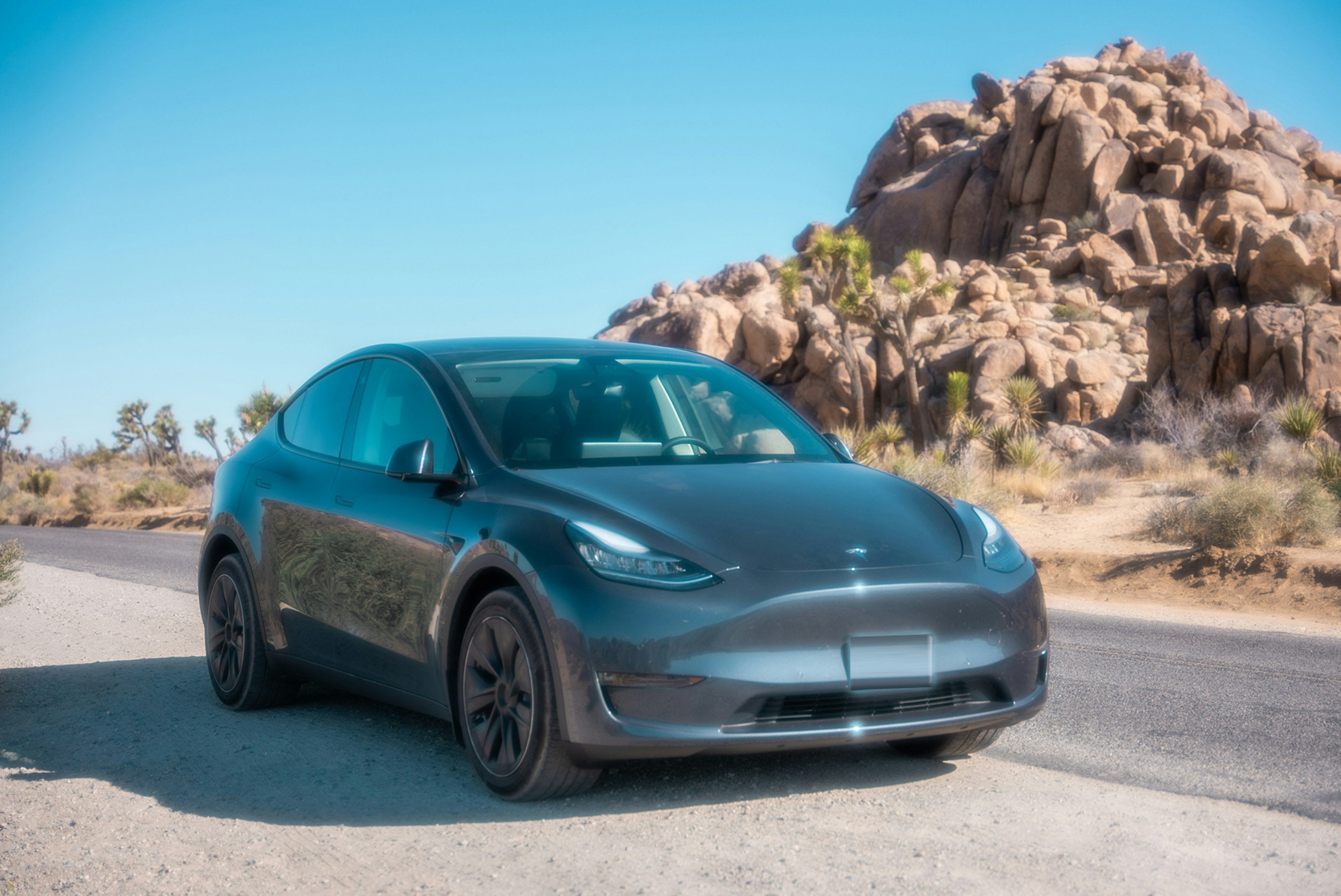Model Y