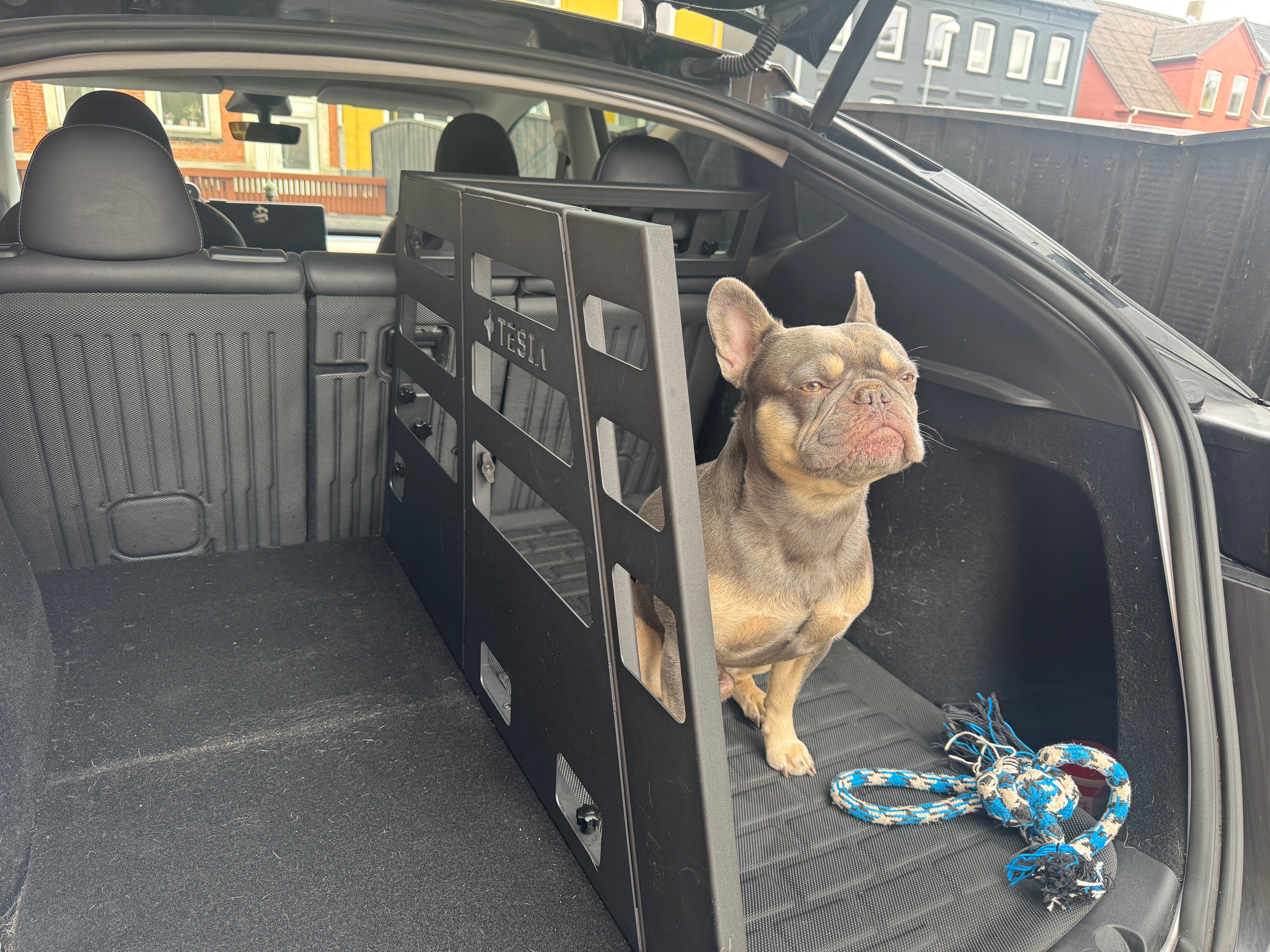 Model Y/Juniper - Hundebur