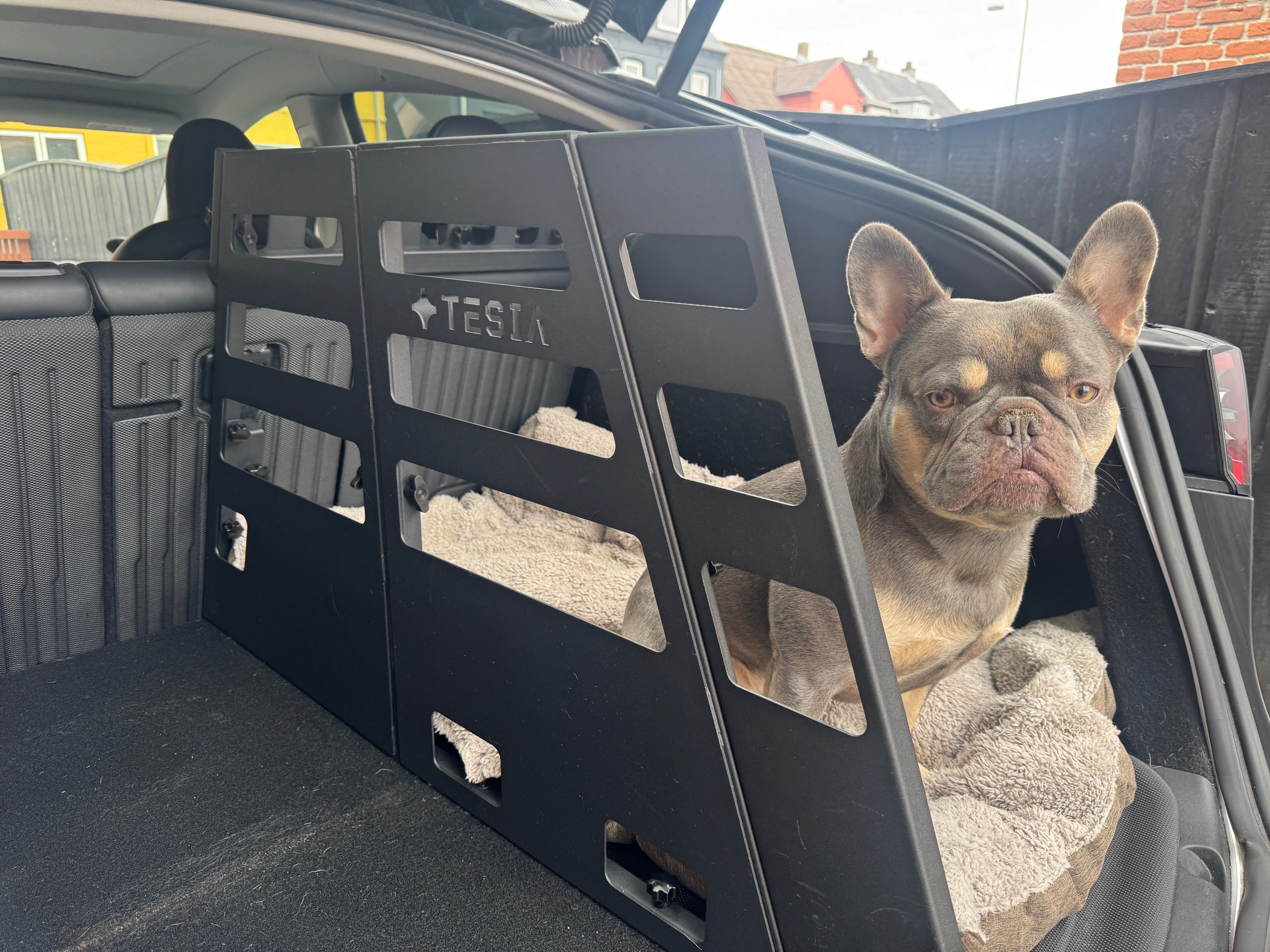 Model Y/Juniper - Hundebur